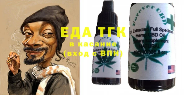 первитин Каменка